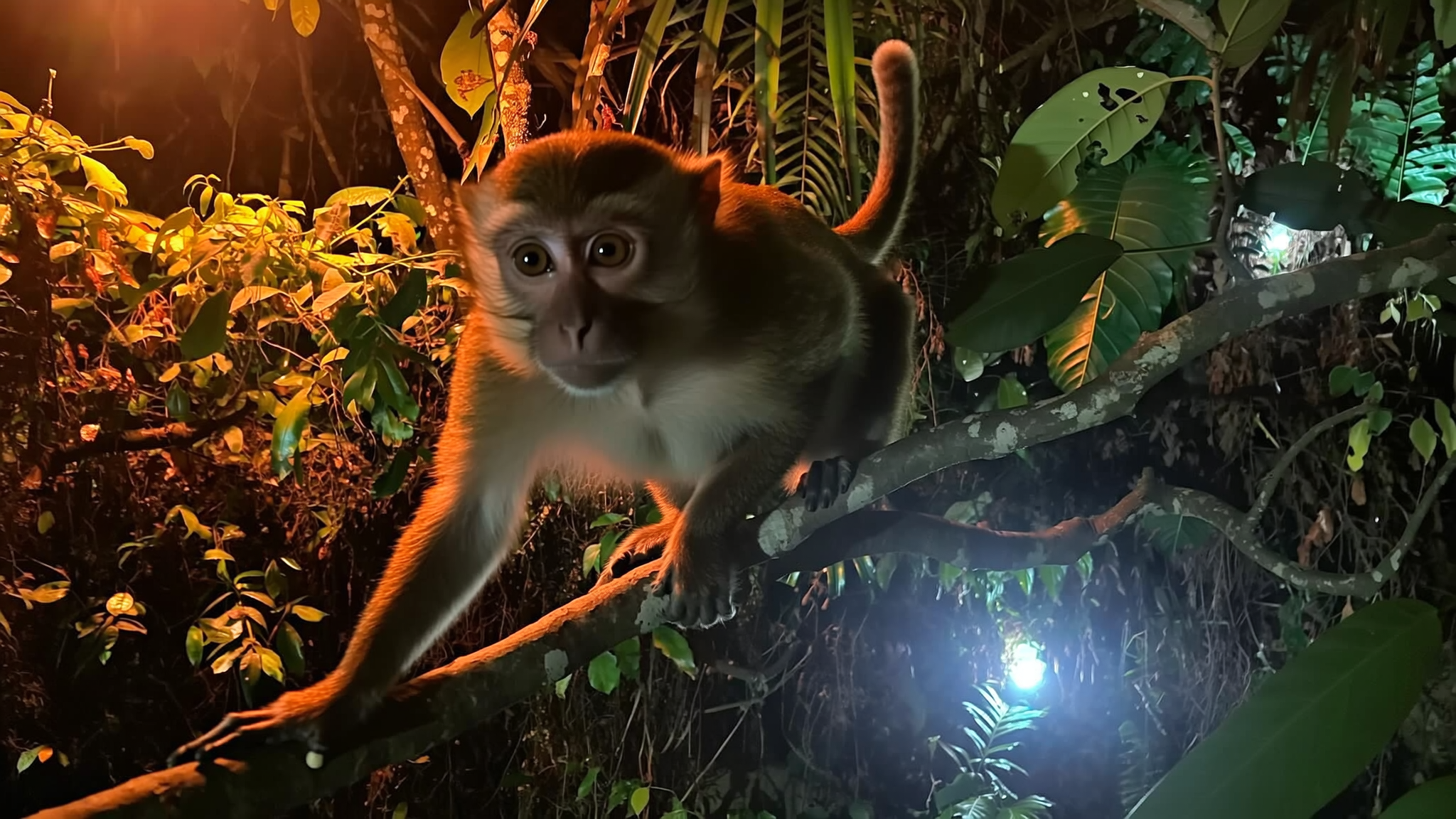 Reality — photorealistic output